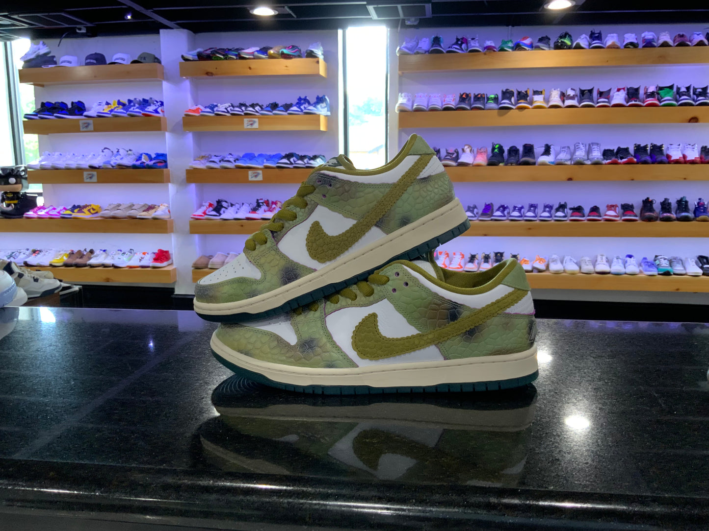 NIKE DUNK SB LOW CHAMELEON