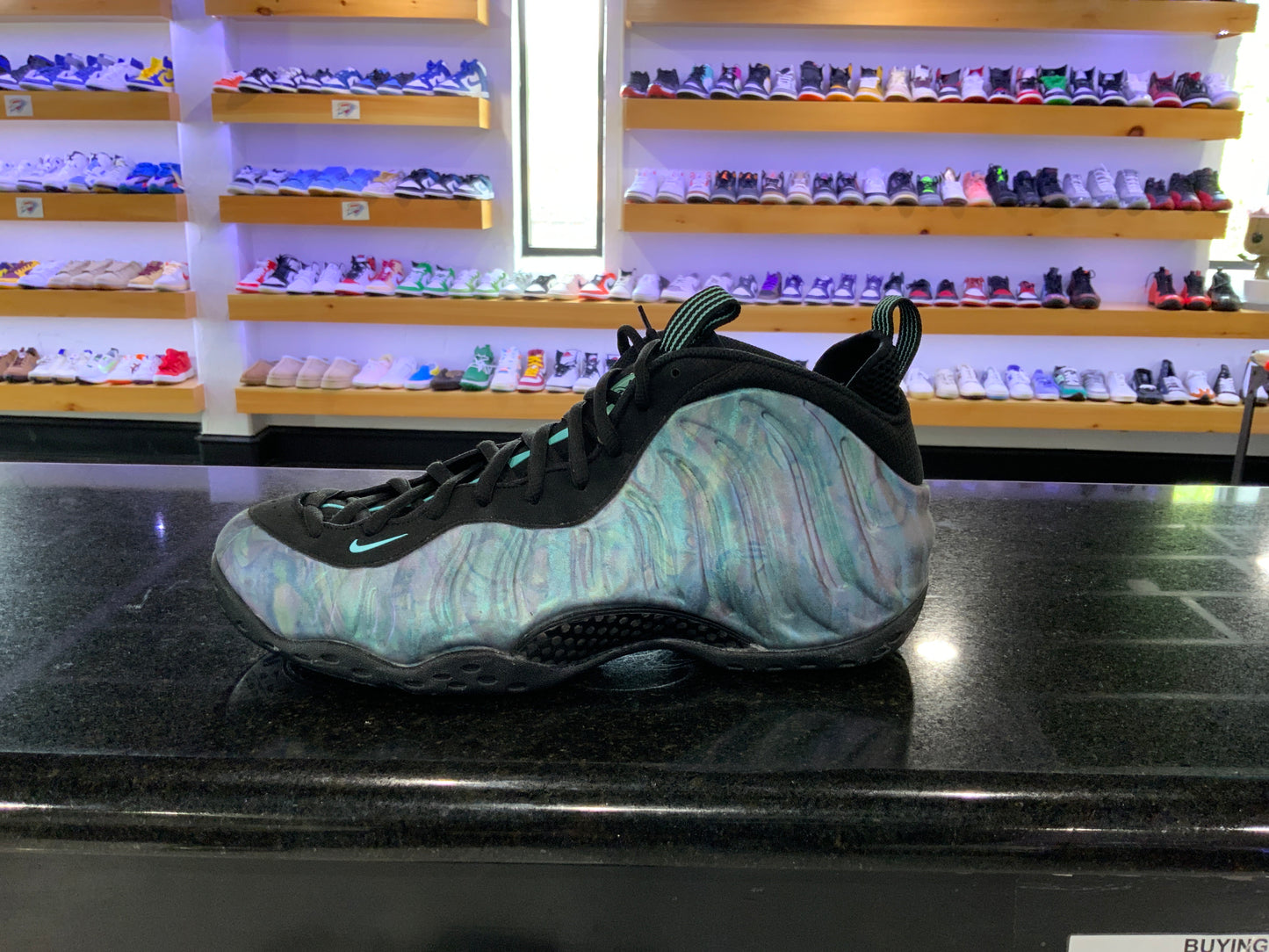 FOAMPOSITE ABALONE