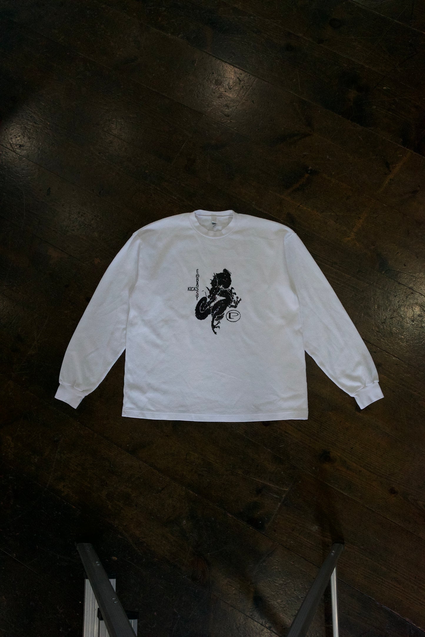 EMBASSY X PRPOSE THEMRAL